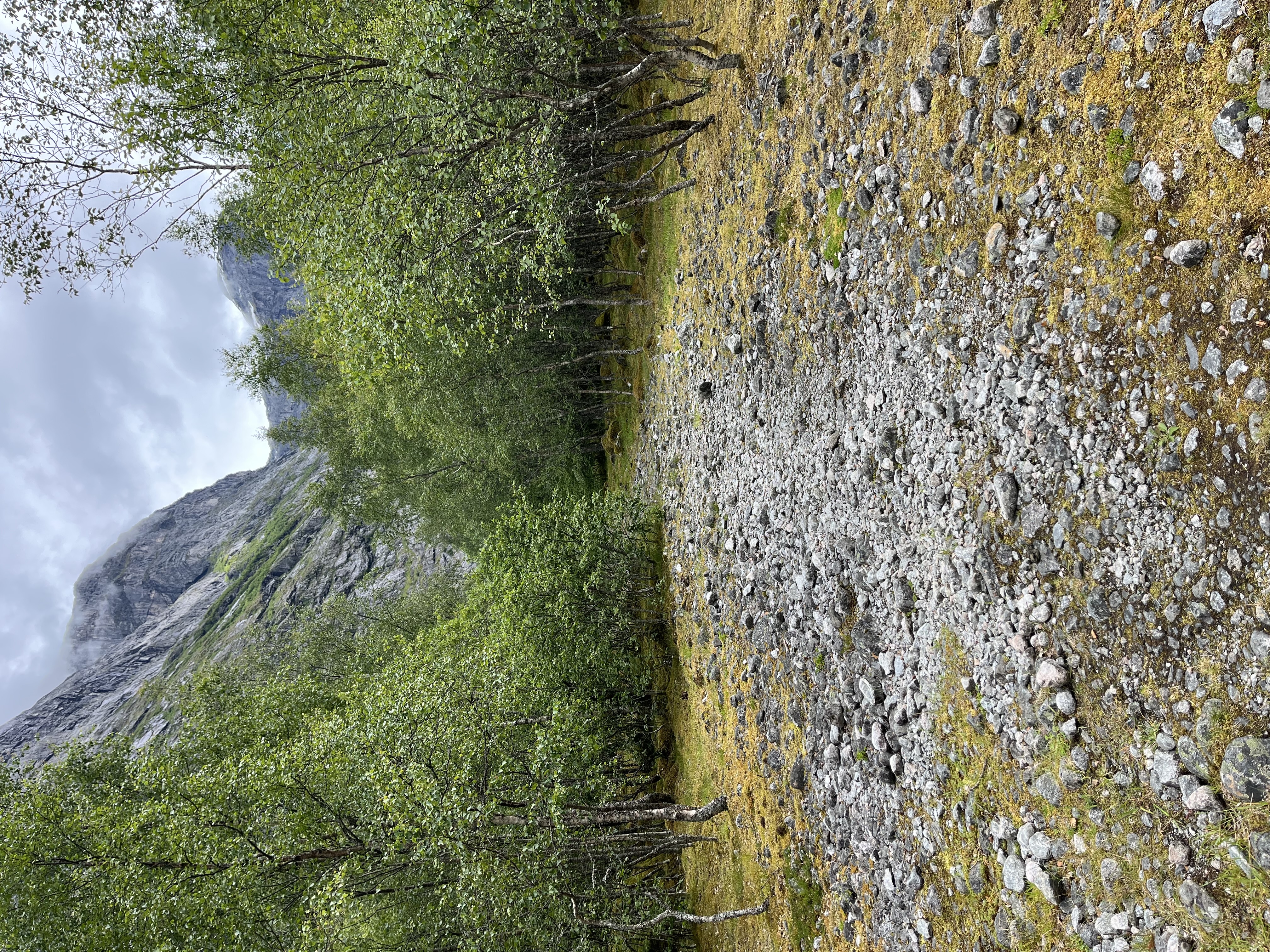 wandelingBrenndalsgletsjer2