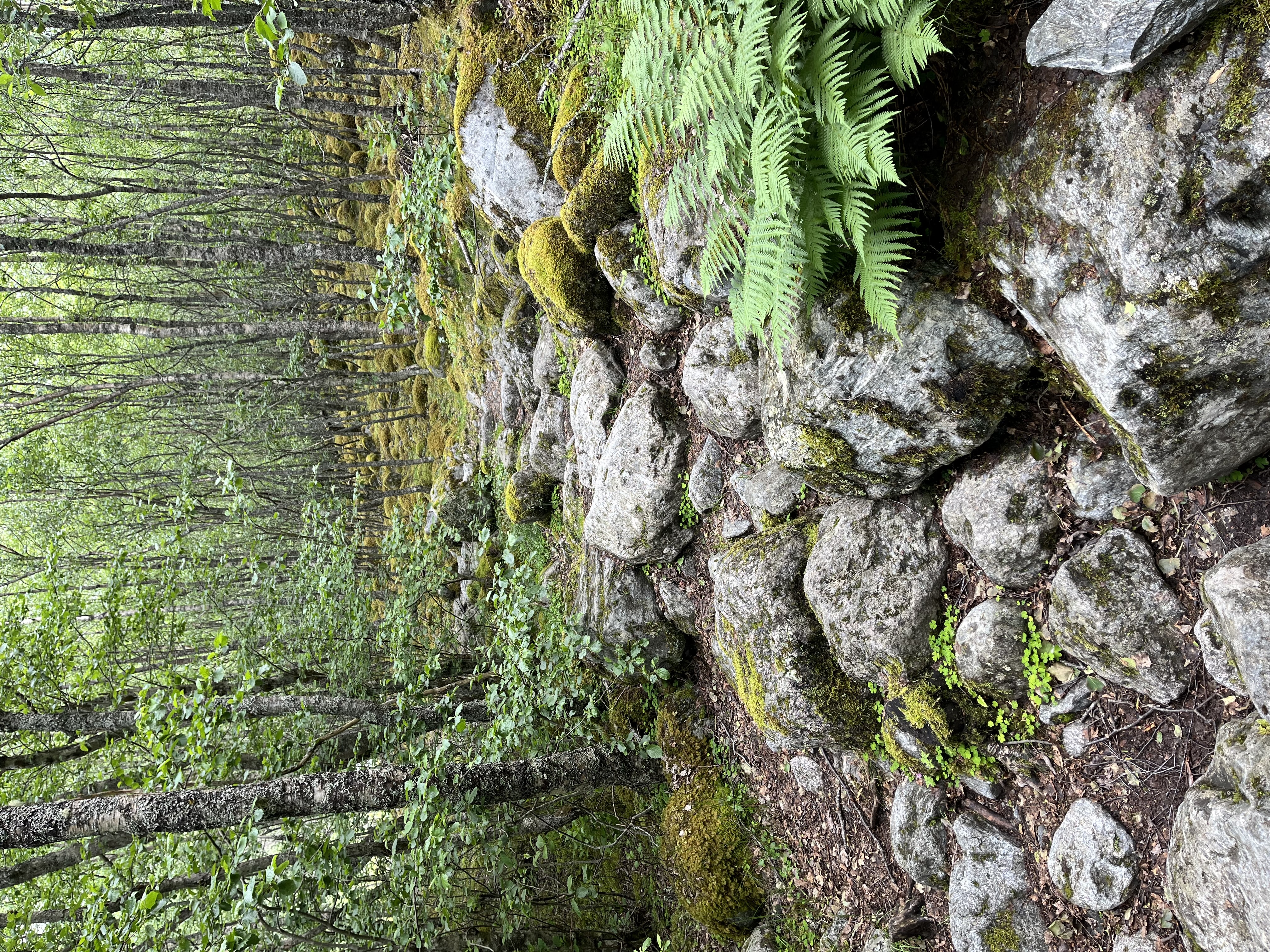 wandelingBrenndalsgletsjer3