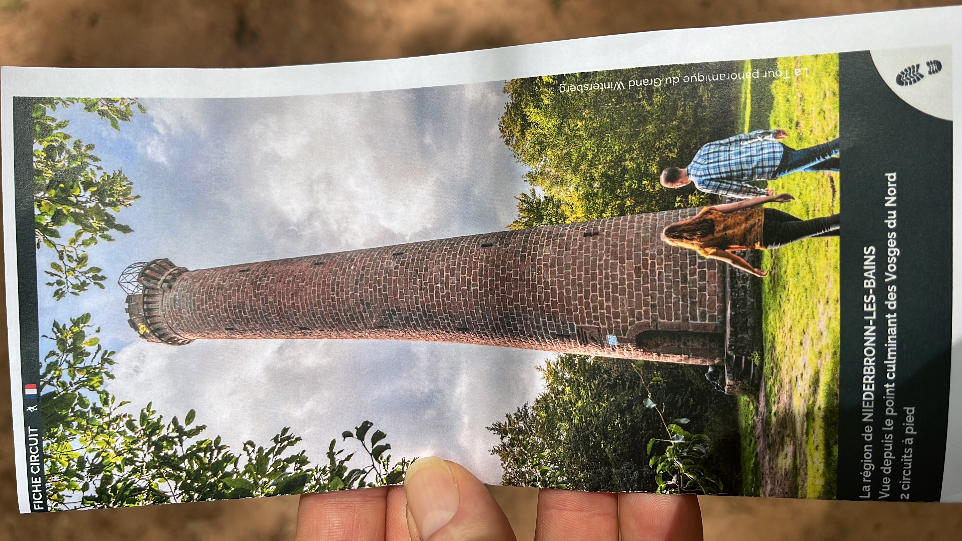 brochure