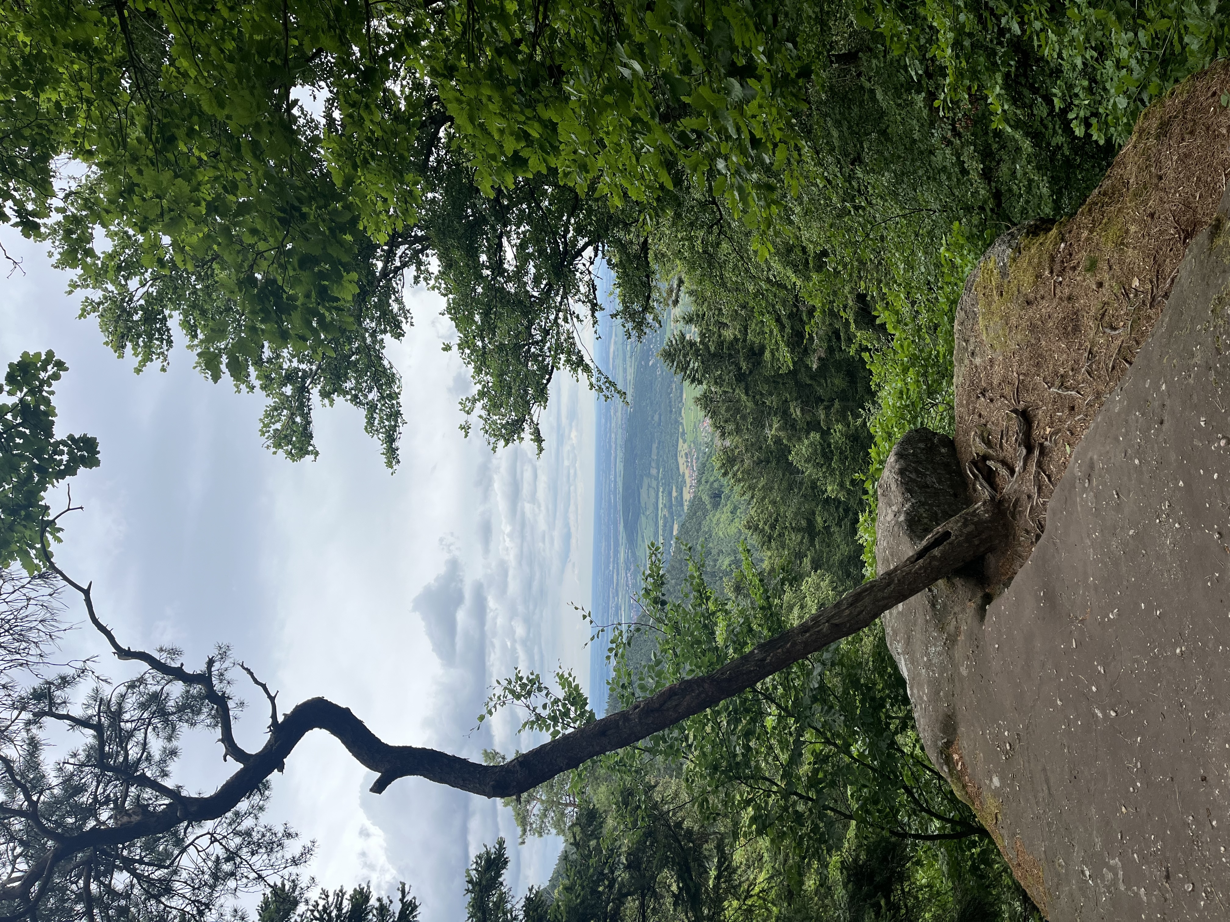 uitzicht