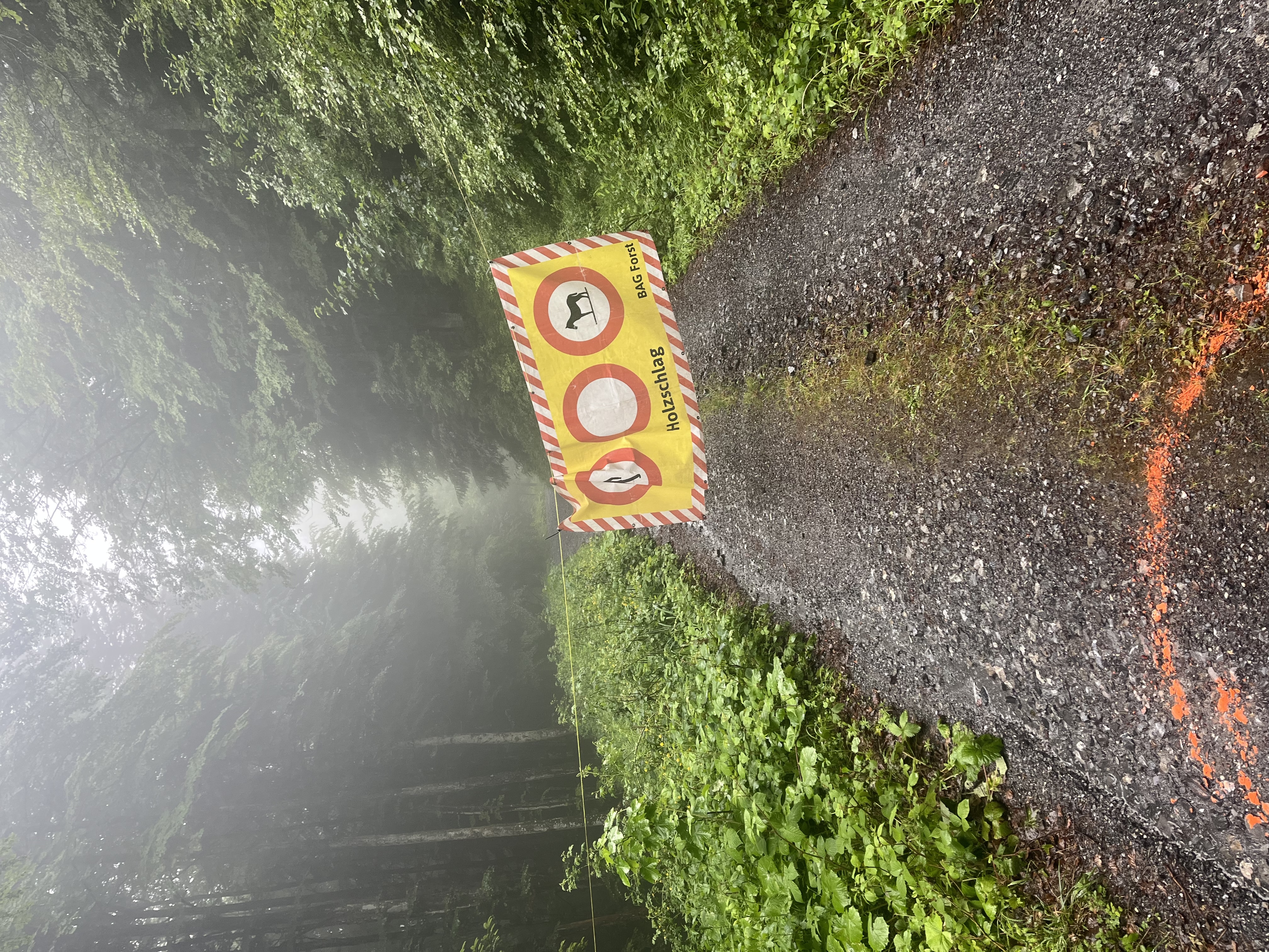 Holzschlag