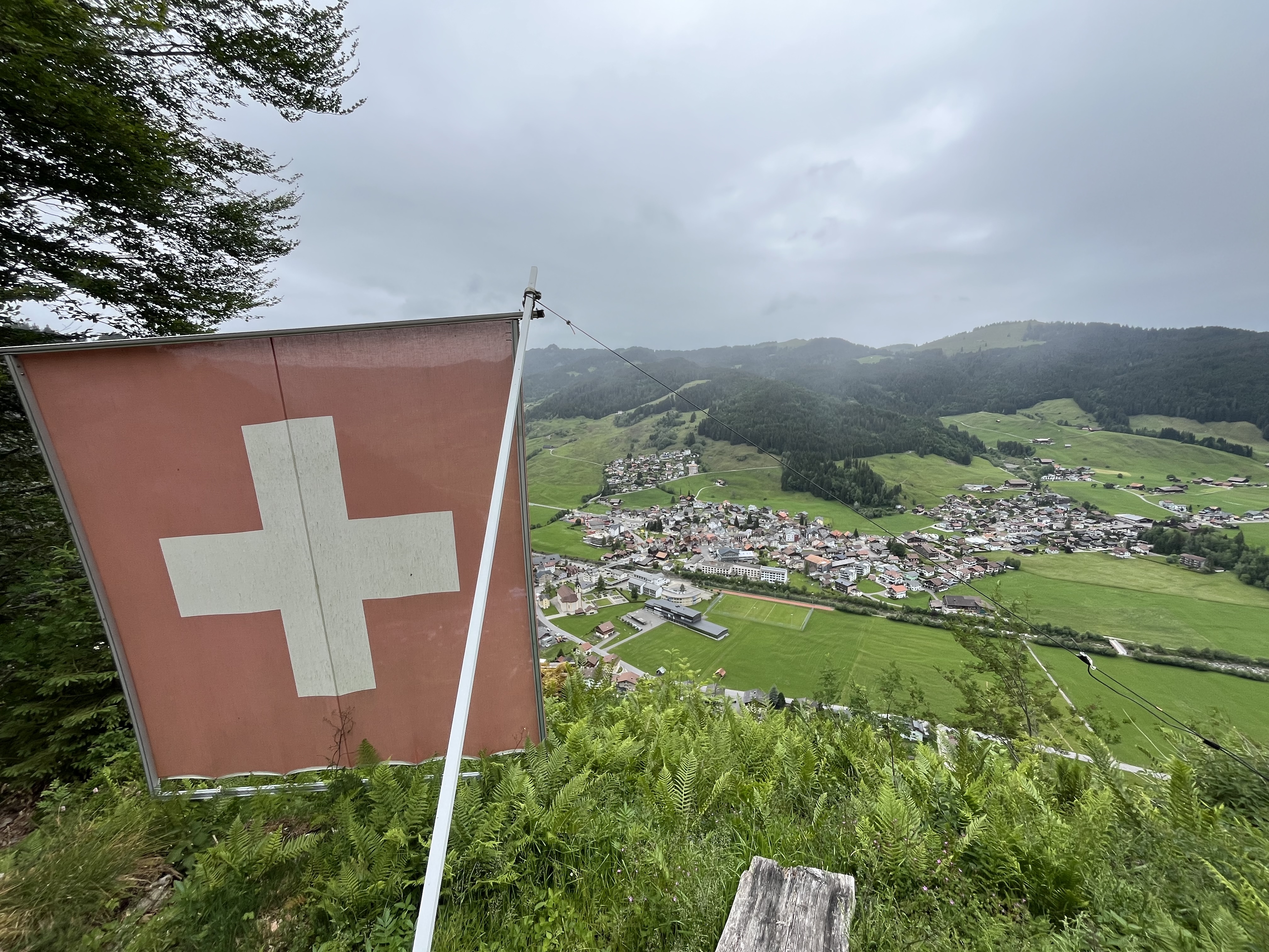 De vlag