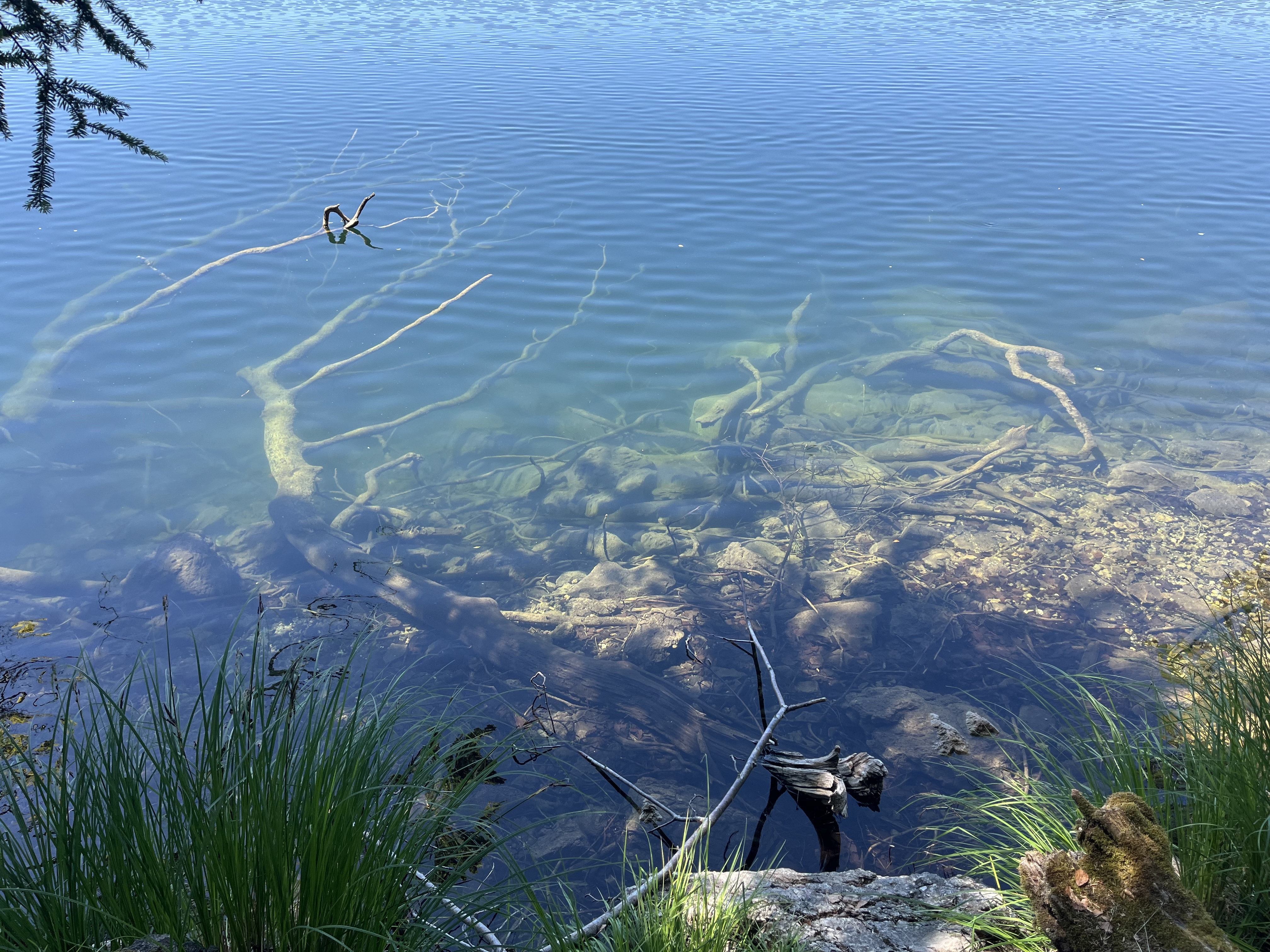 Helder water